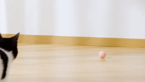 Interactive Electric Cat Ball