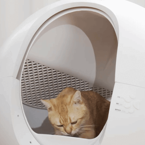 Automatic Self-Cleaning Smart Litter Box with App Control