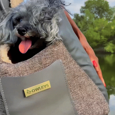 Reliable Materials for Dog Carrier