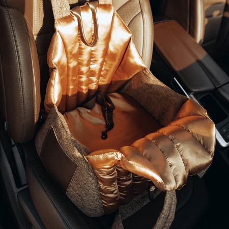 Dog Carrier with Convenient Handles